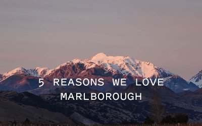 5 Reasons we love Marlborough
